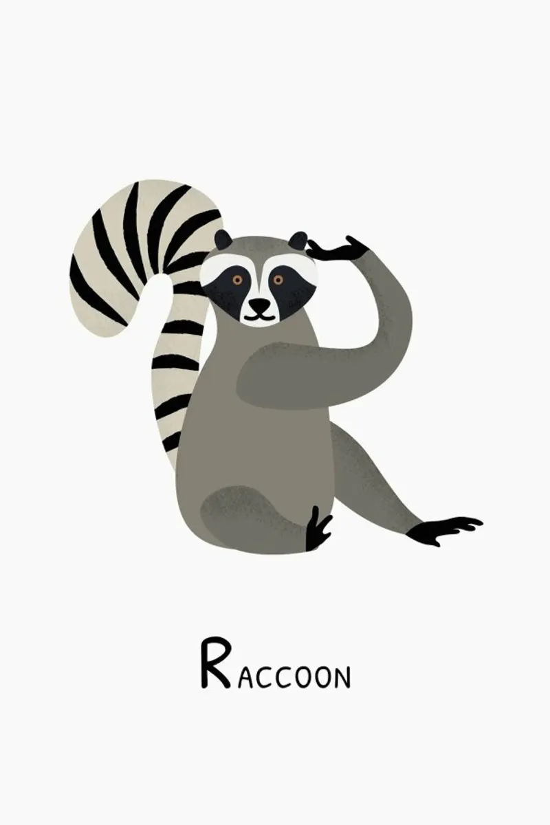 R for Raccoon pellicola backlit da Little Flourishes