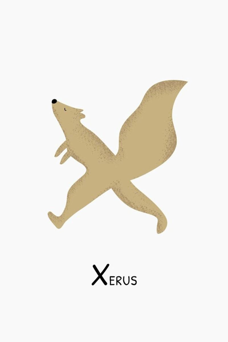 X for Xerus alluminio dibond da Little Flourishes