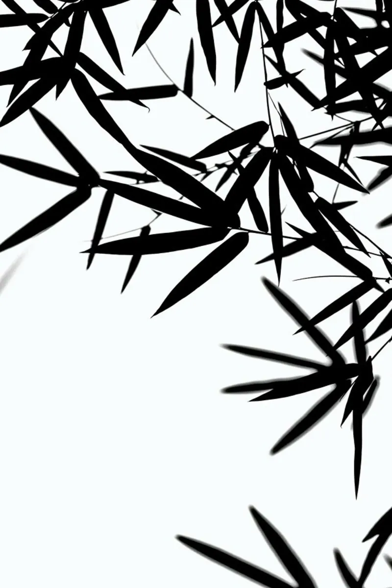 Bambus Leaves Black carta hahnemühle da Monika Strigel