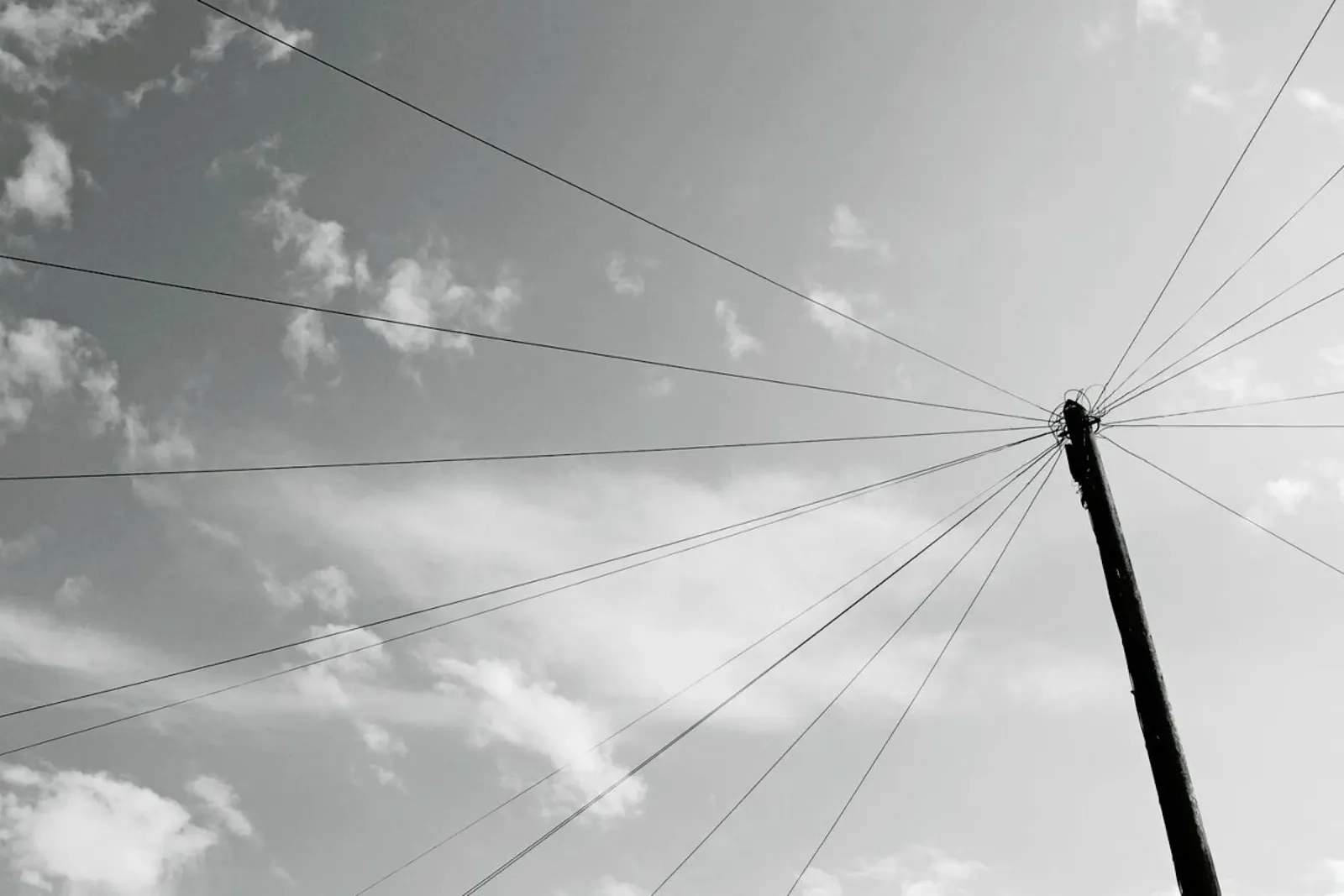 Power pole pellicola backlit da Nur Mut