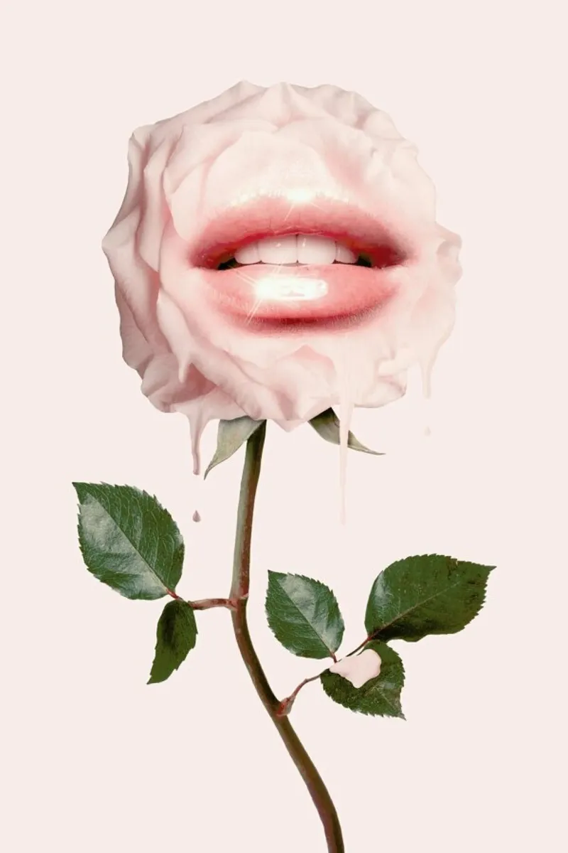 Glossy Rose alluminio dibond da Jonas Loose