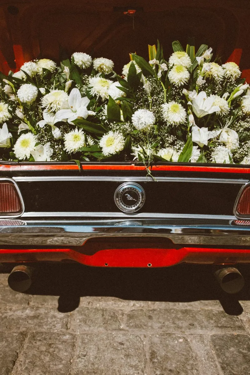 Trunk Full of Flowers pellicola backlit da Chris Abatzis