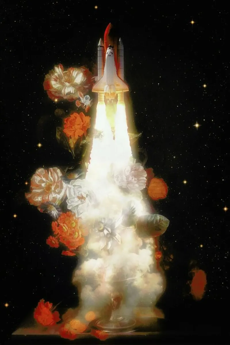 Space Shuttle & Flowers hahnemühle de Jonas Loose