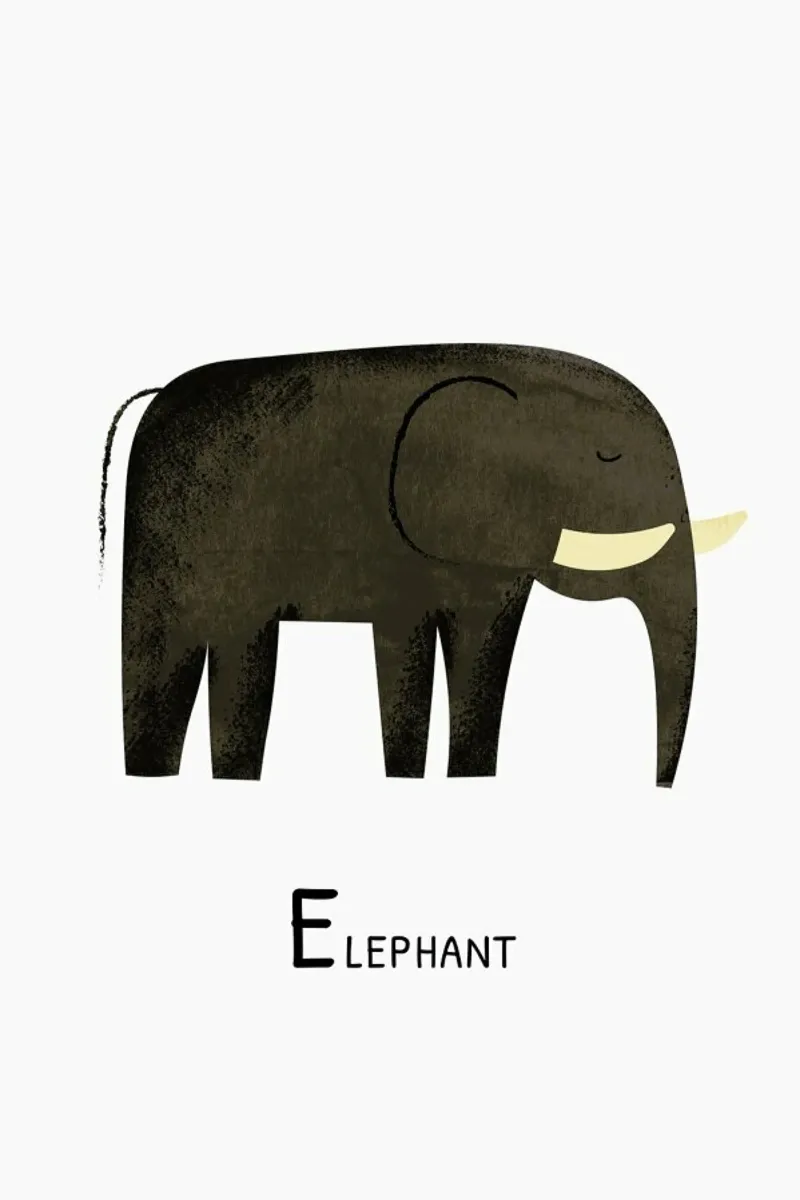 Elephant pellicola backlit da Little Flourishes