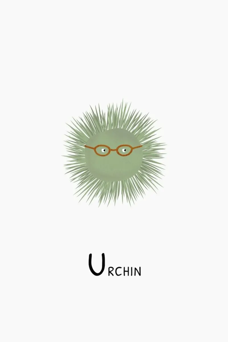 Urchin pellicola backlit da Little Flourishes