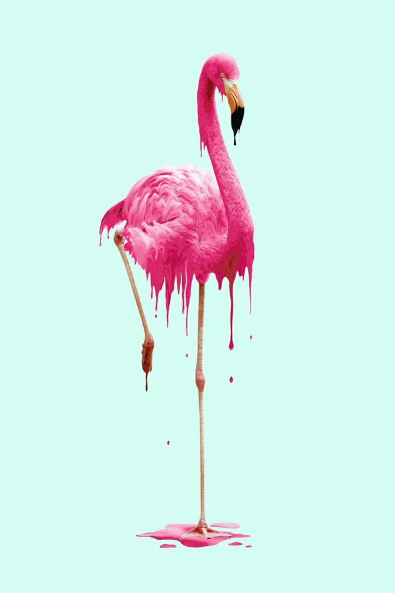 Melting Flamingo pellicola backlit da Jonas Loose