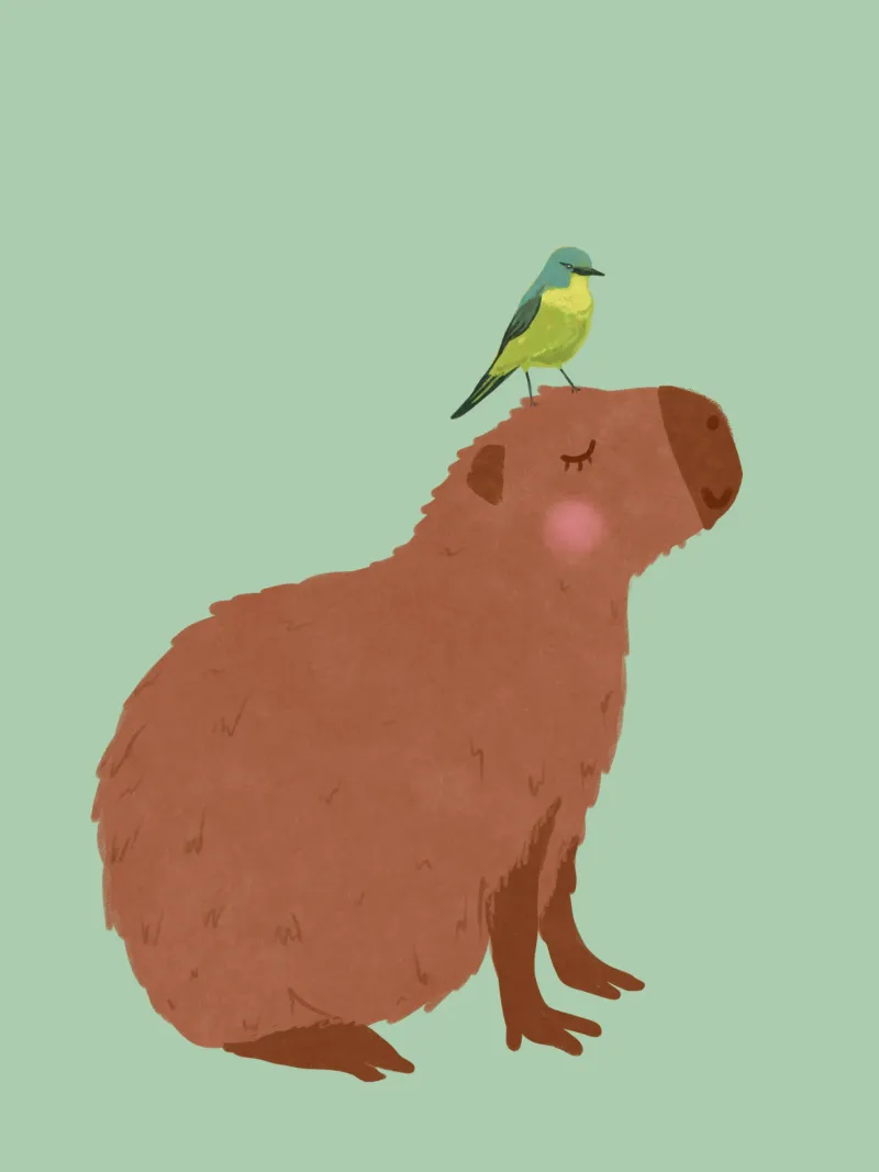 Capibara con uccello pellicola backlit da Illustration Raissa Oltmanns