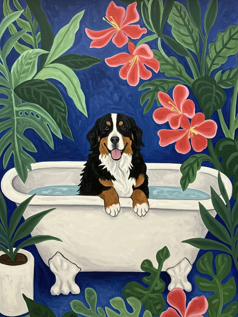 Bouvier bernois dans la baignoire poster avec cadre en bois de Art Center