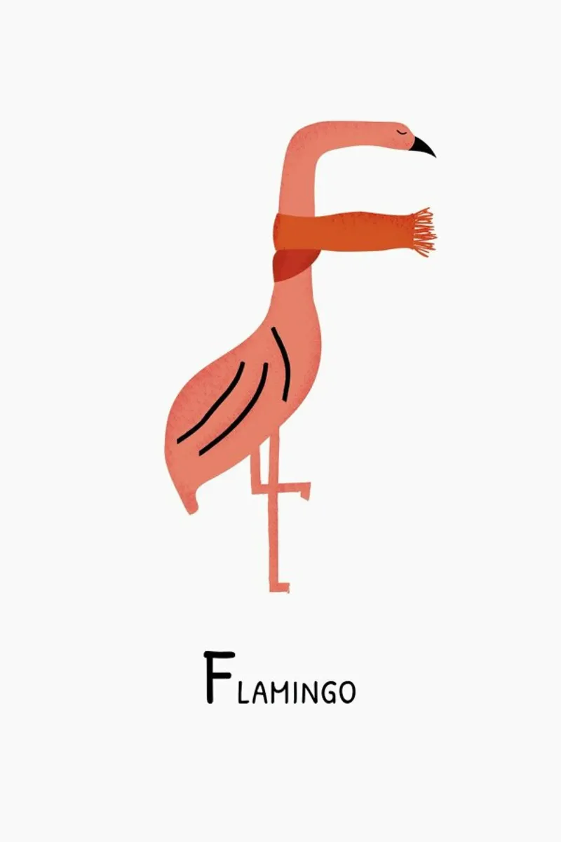 F for Flamingo pellicola backlit da Little Flourishes