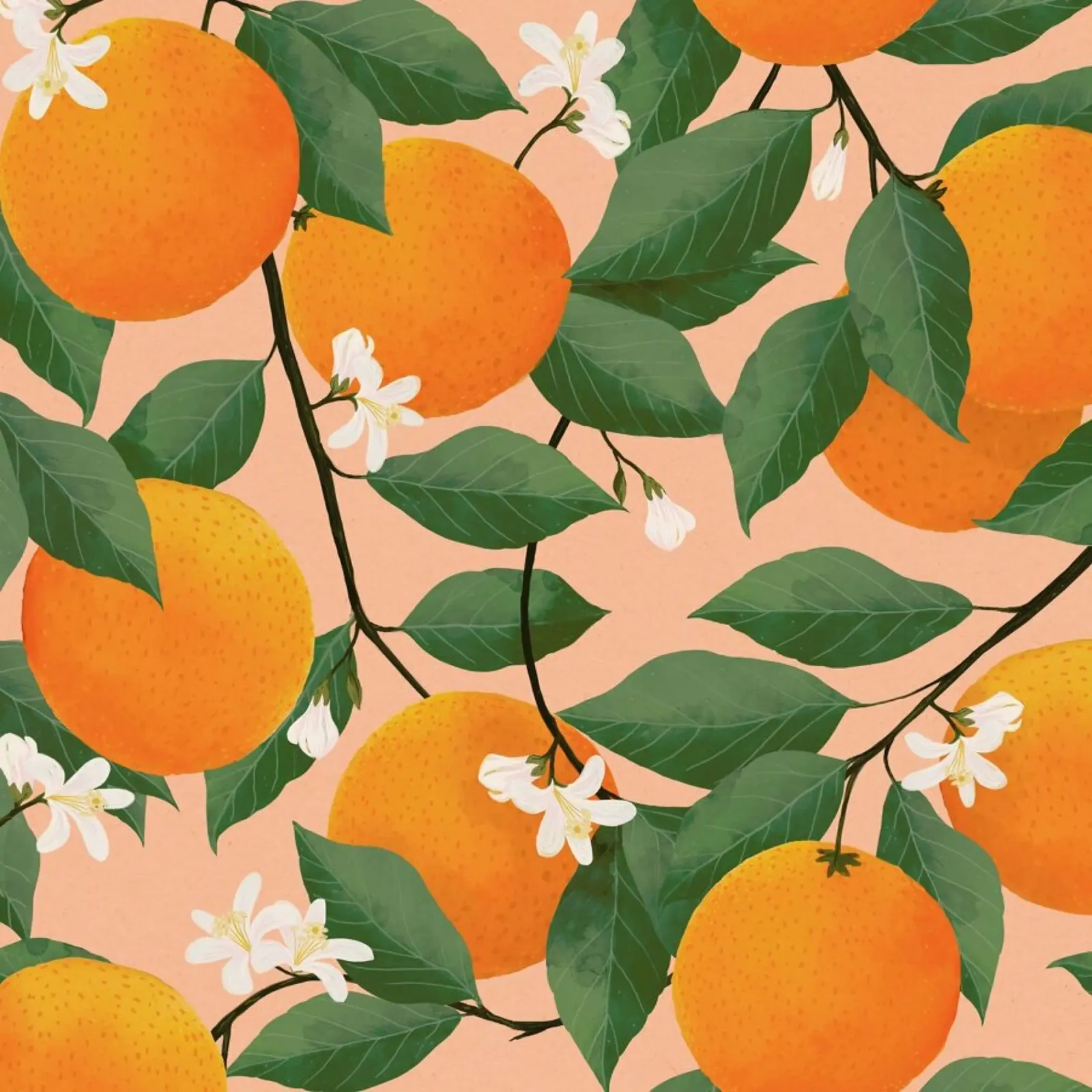 Fresh Citrus pellicola backlit da Laura Graves