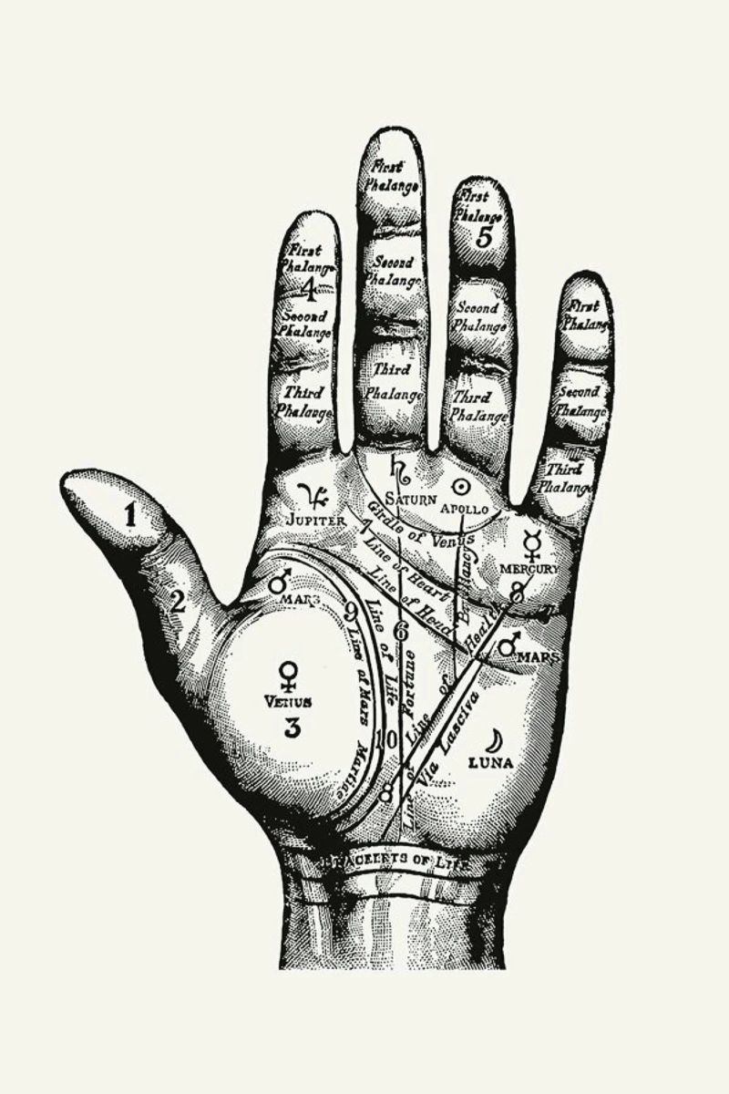 Palmistry Poster von Astër