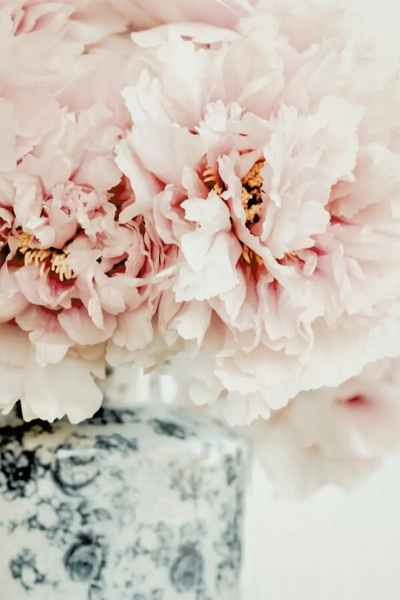 Peonies In A Vase carta hahnemühle da Ingrid Beddoes