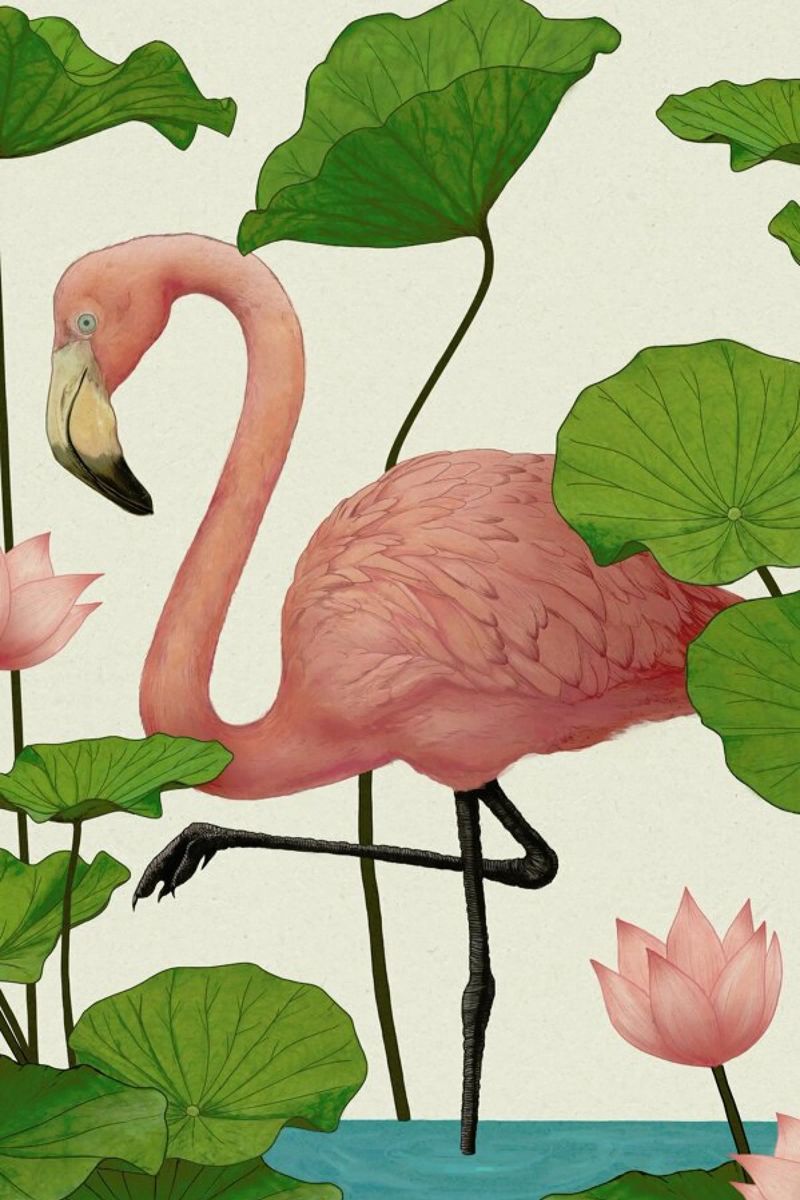 Flamingo poster de Laura Graves