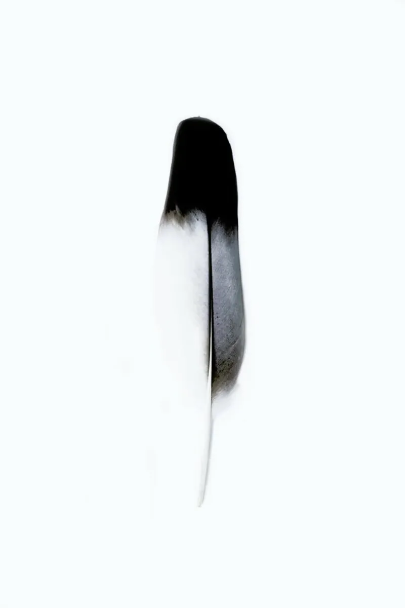 Spirit l poster by Victoria Frost