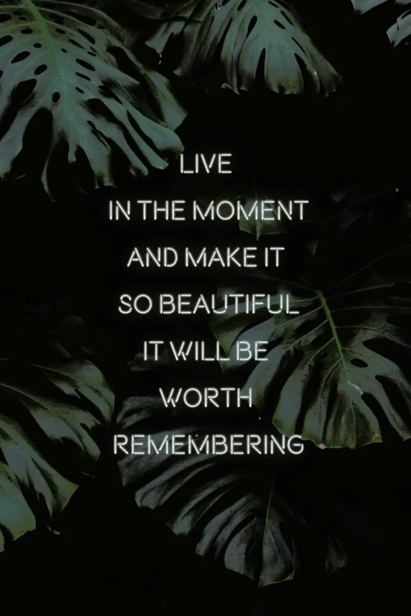 Live in the Moment pellicola backlit da Oh Darling