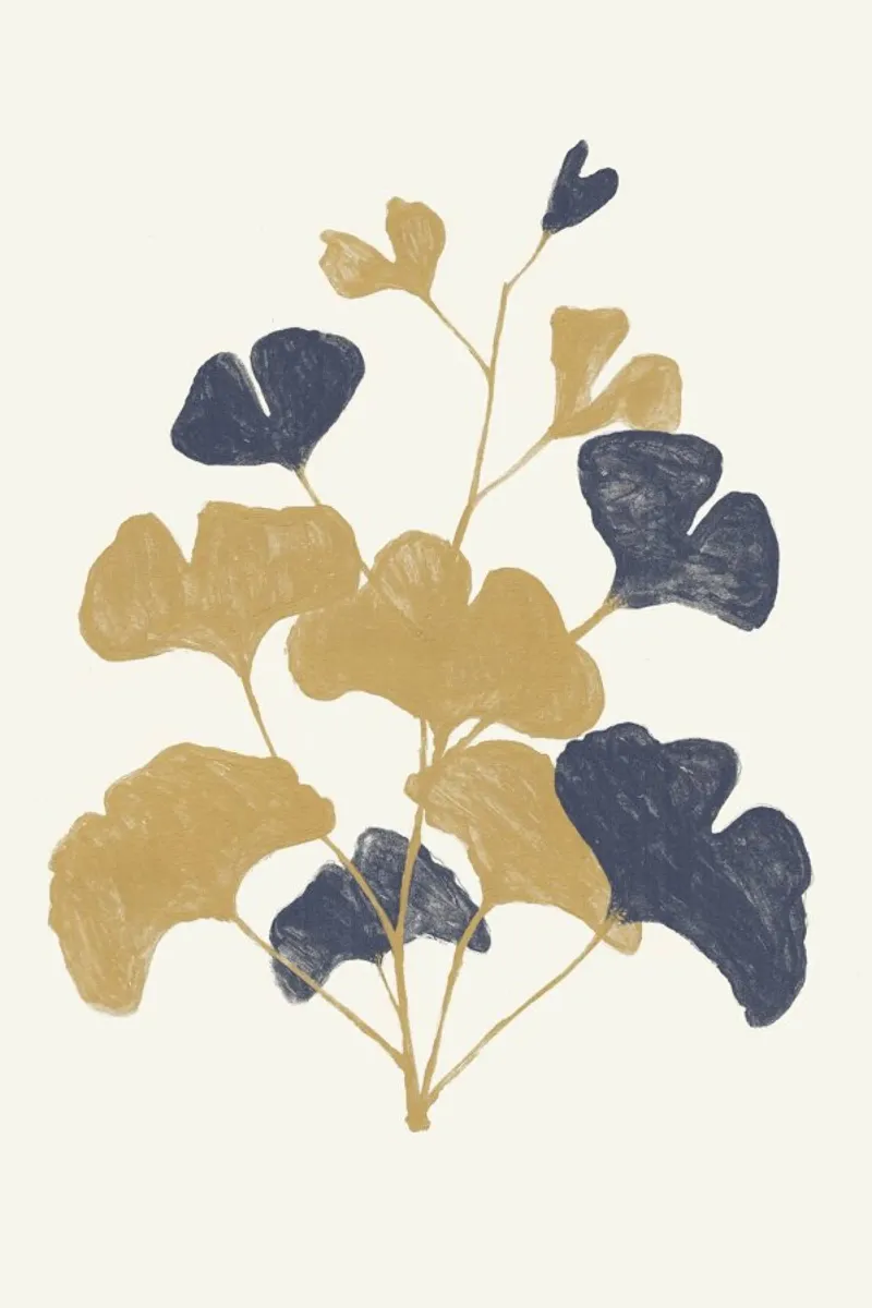 Golden Gingko pellicola backlit da Florent Bodart