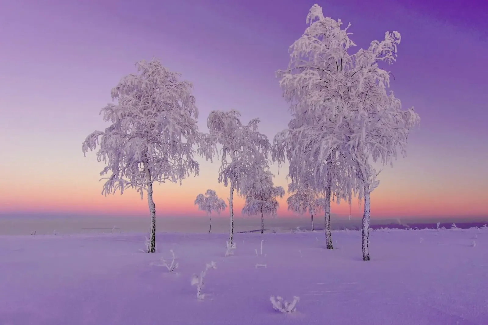 January Evening - Ruslan Makhmud-Akhunov poster con telaio in plastica da Pictufy