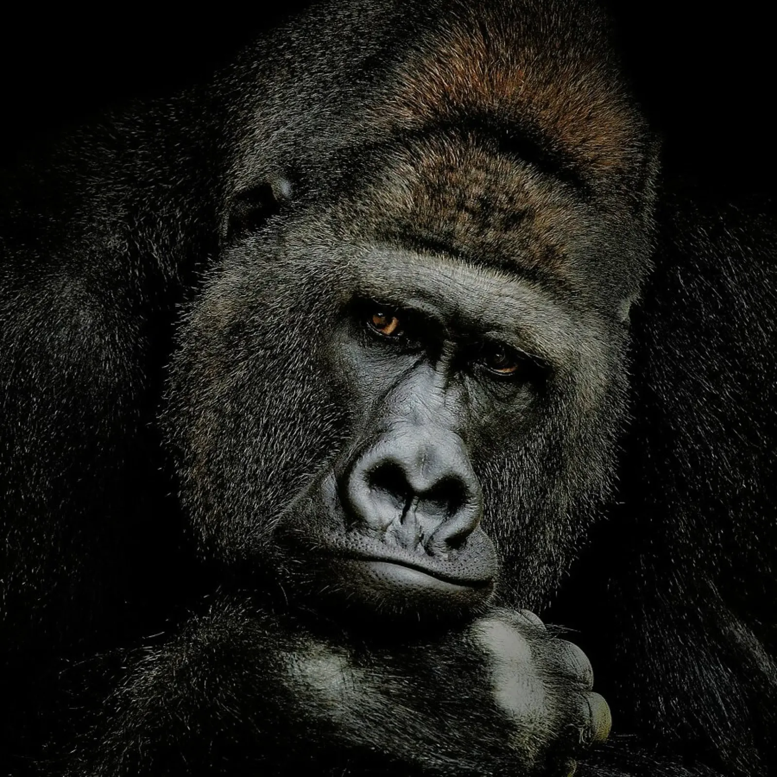 One Moment in Contact - Antje Wenner-Braun alu-dibond by Pictufy