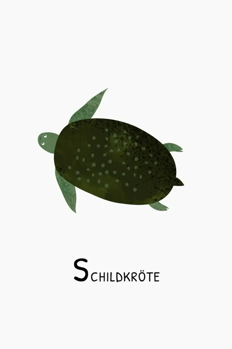 Schildkröte pellicola backlit da Little Flourishes