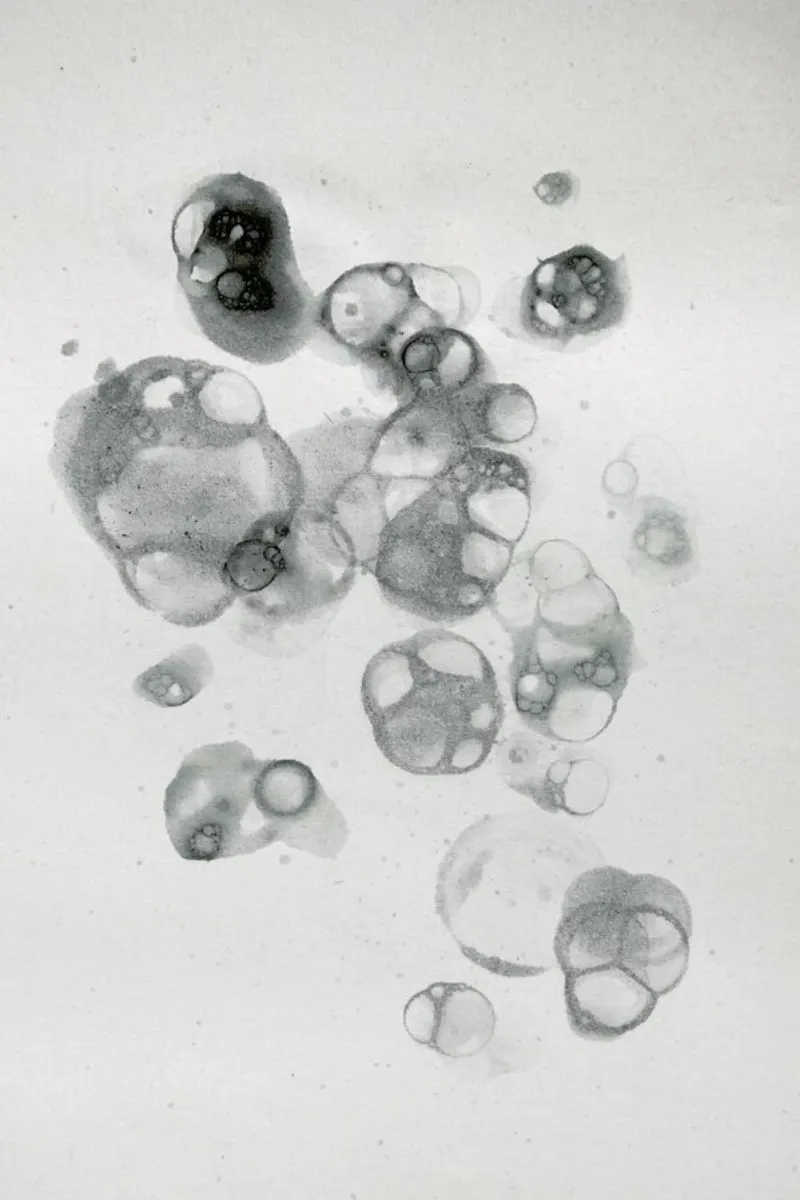 Aquarelle Bubbles - Black carta hahnemühle da Studio Nahili