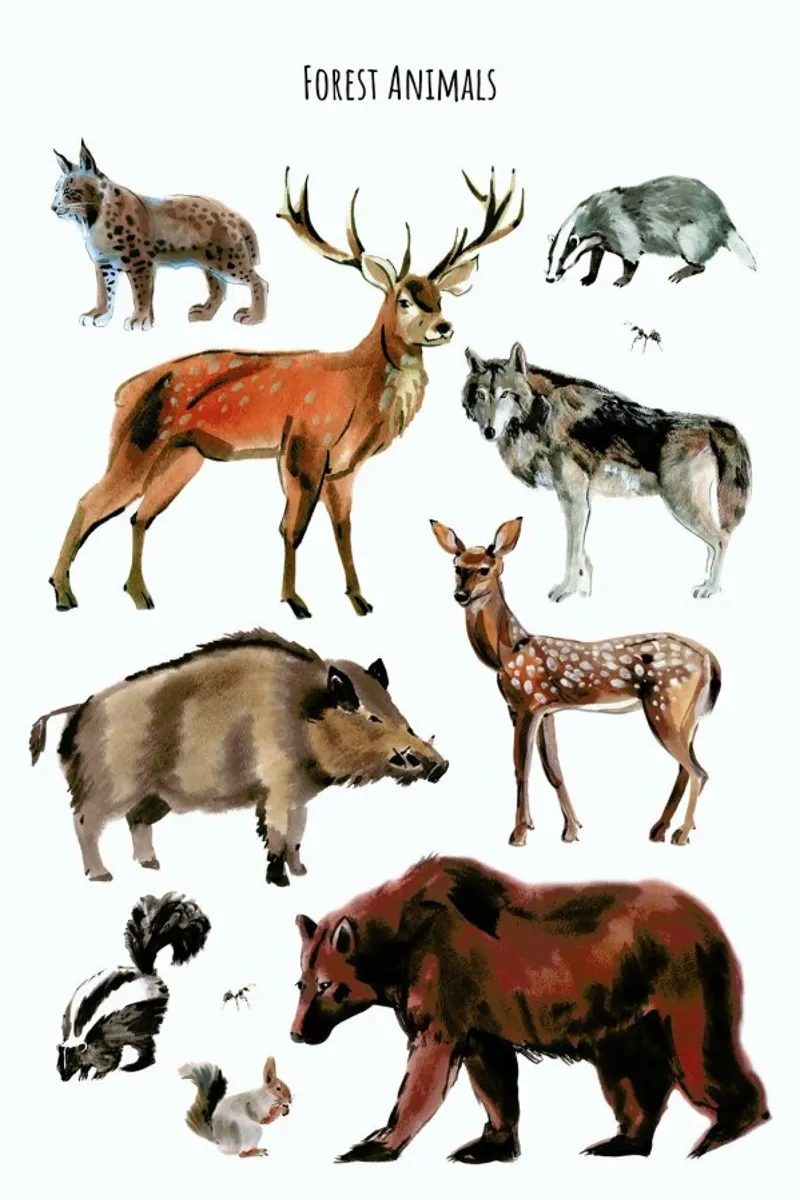 Forest Animals pellicola backlit da Little Flourishes