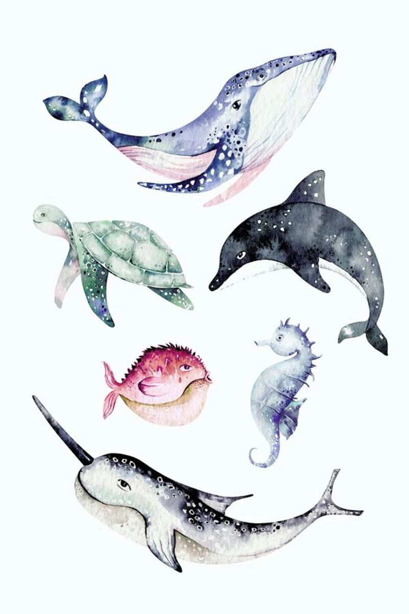 Sealife poster by Little Flourishes