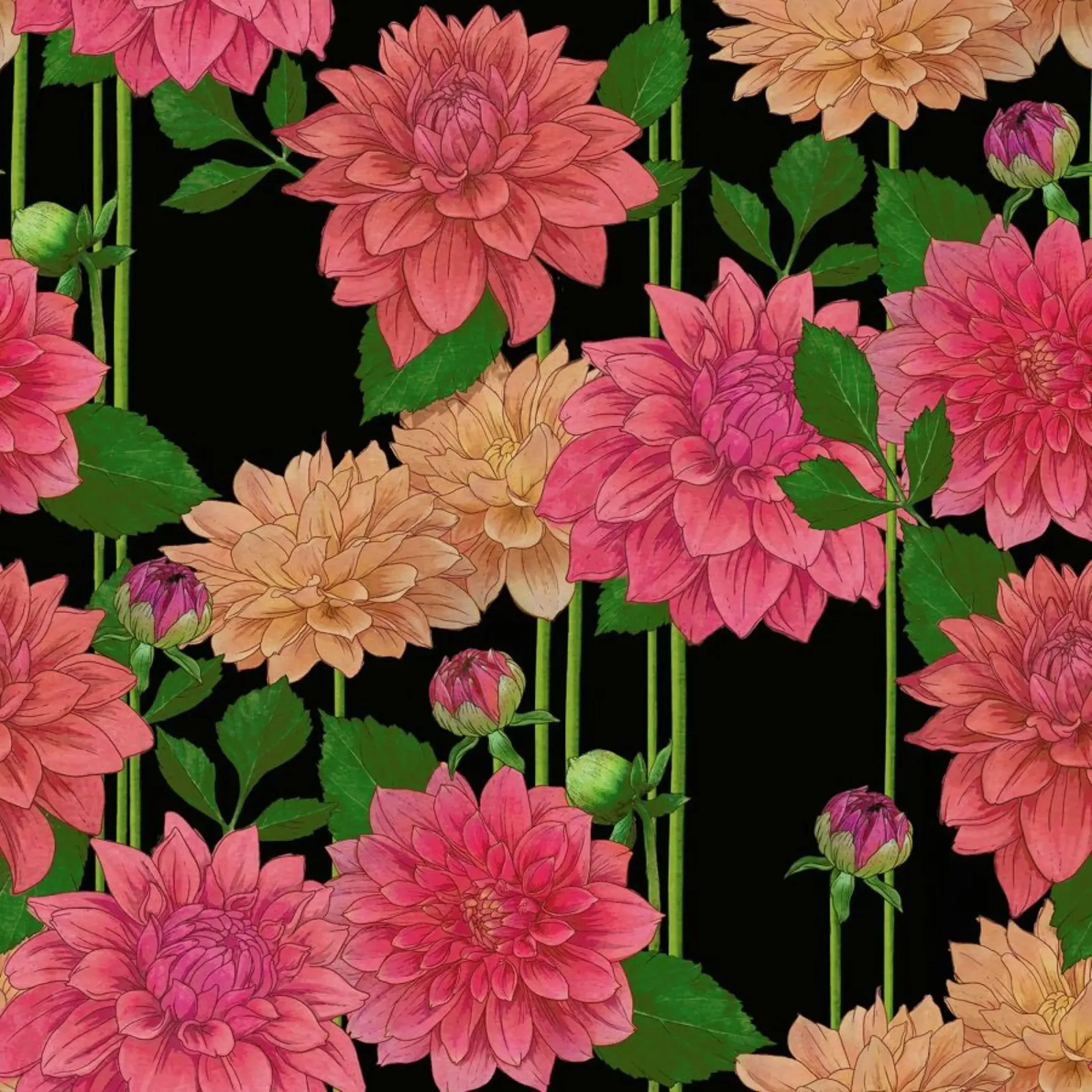 Idyllic Dahlia pellicola backlit da Laura Graves