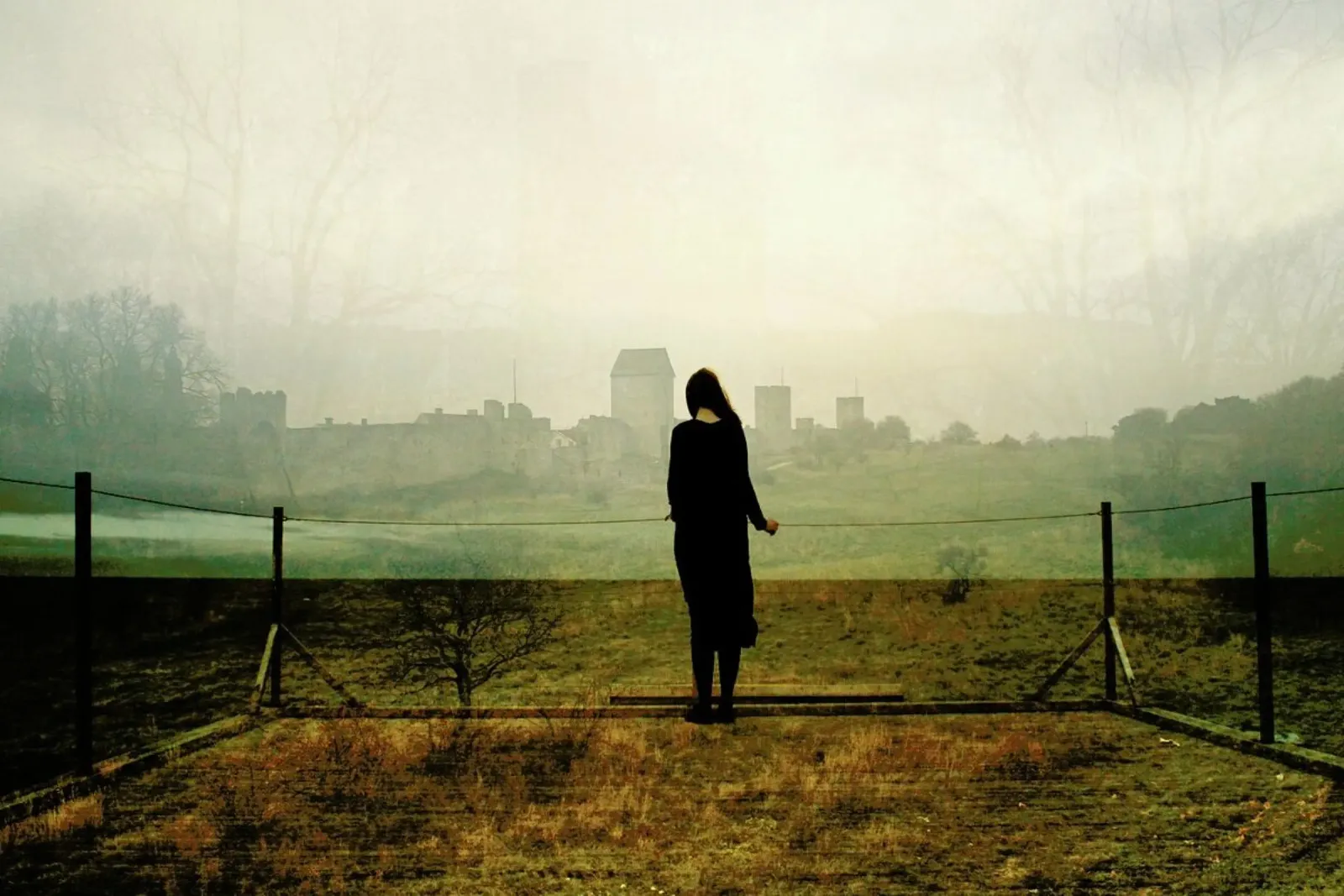 Dream State – I pellicola backlit da Elisabeth Fredriksson