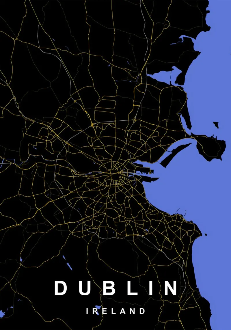 Mappa della città di Dublino Irlanda nero e oro carta hahnemühle da Cartographers Library