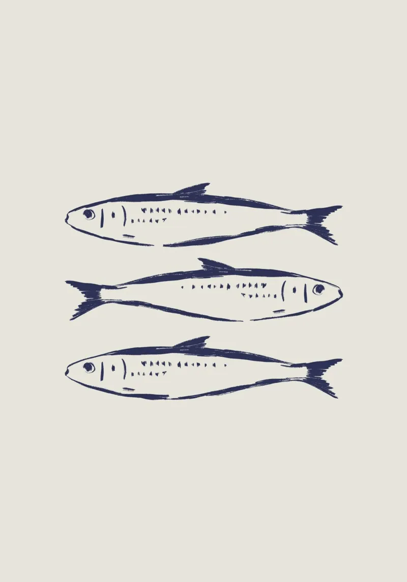 Sardine blu. pellicola backlit da Sixmai