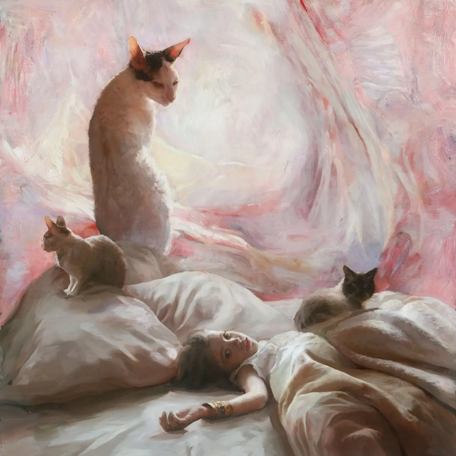 Guillermo Lorca Luce e gatti pellicola backlit da Birgitart