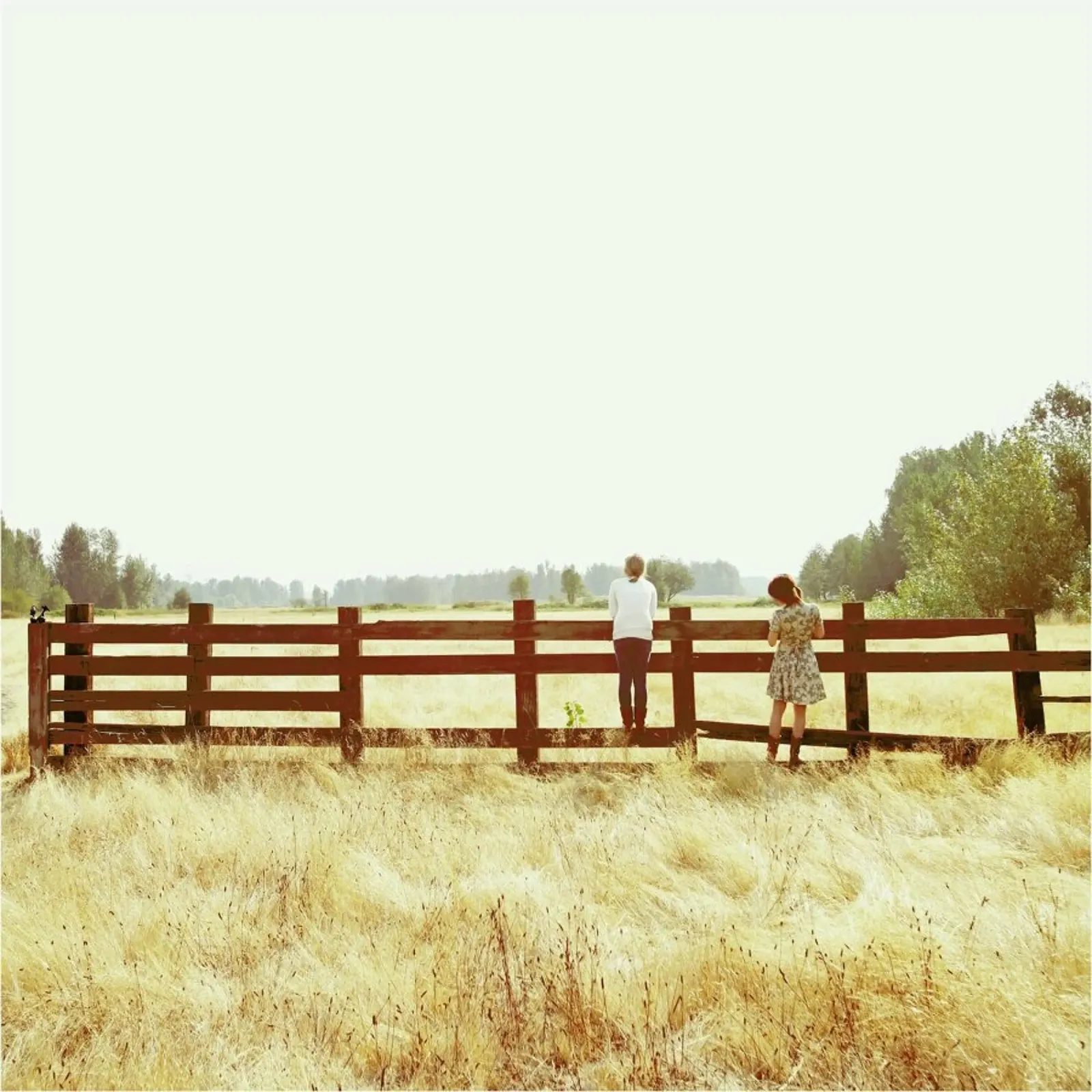 Fence Standing pellicola backlit da Kevin Russ