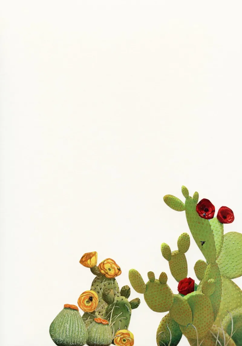 Giardino dei cactus II poster con telaio in plastica da Cassia Beck Collage