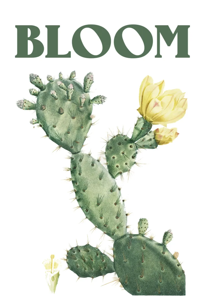 Kaktus Botanische Illustration Acryl-Glas von Pretty Flowers Vintage Botanicals