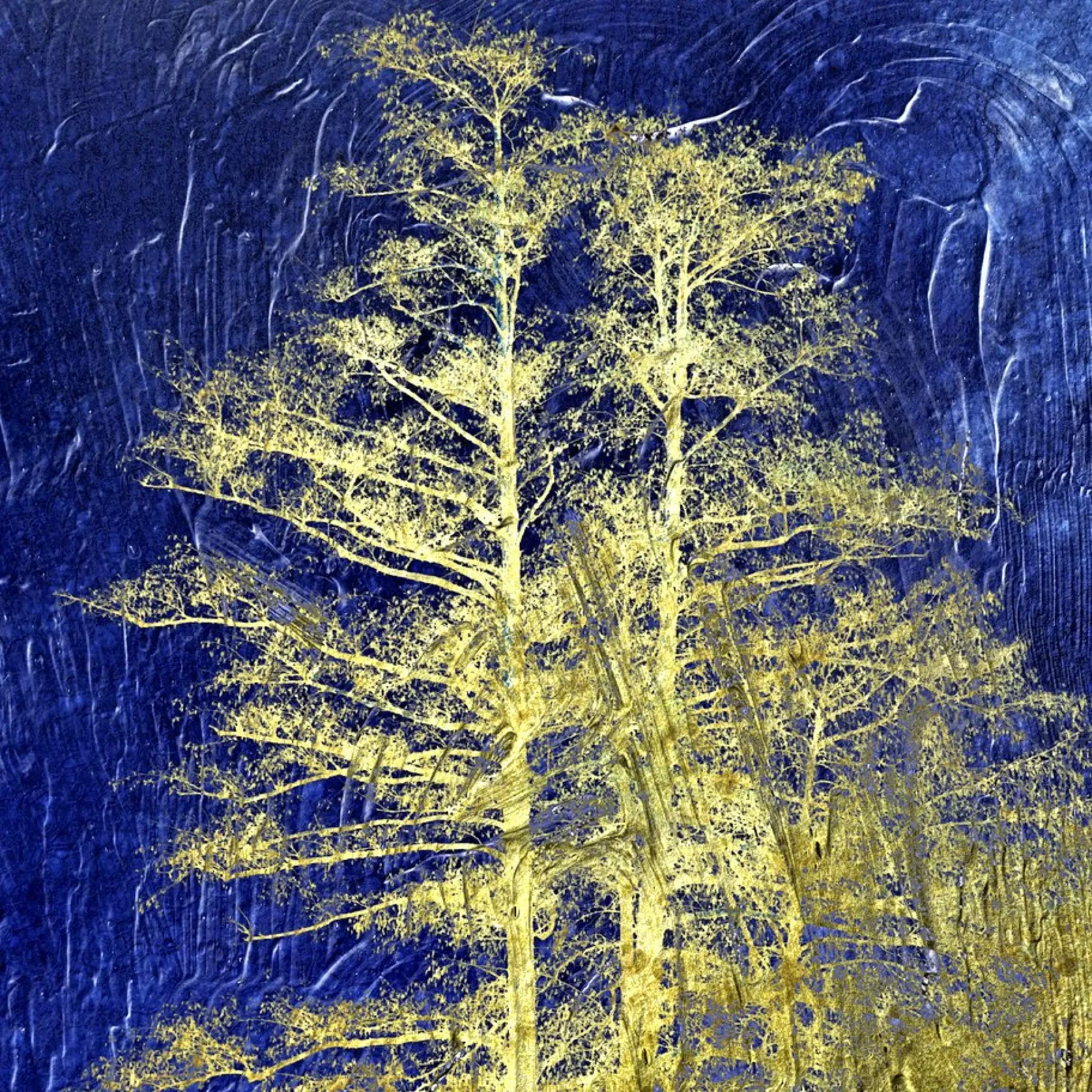 solarizzazione pellicola backlit da art0030