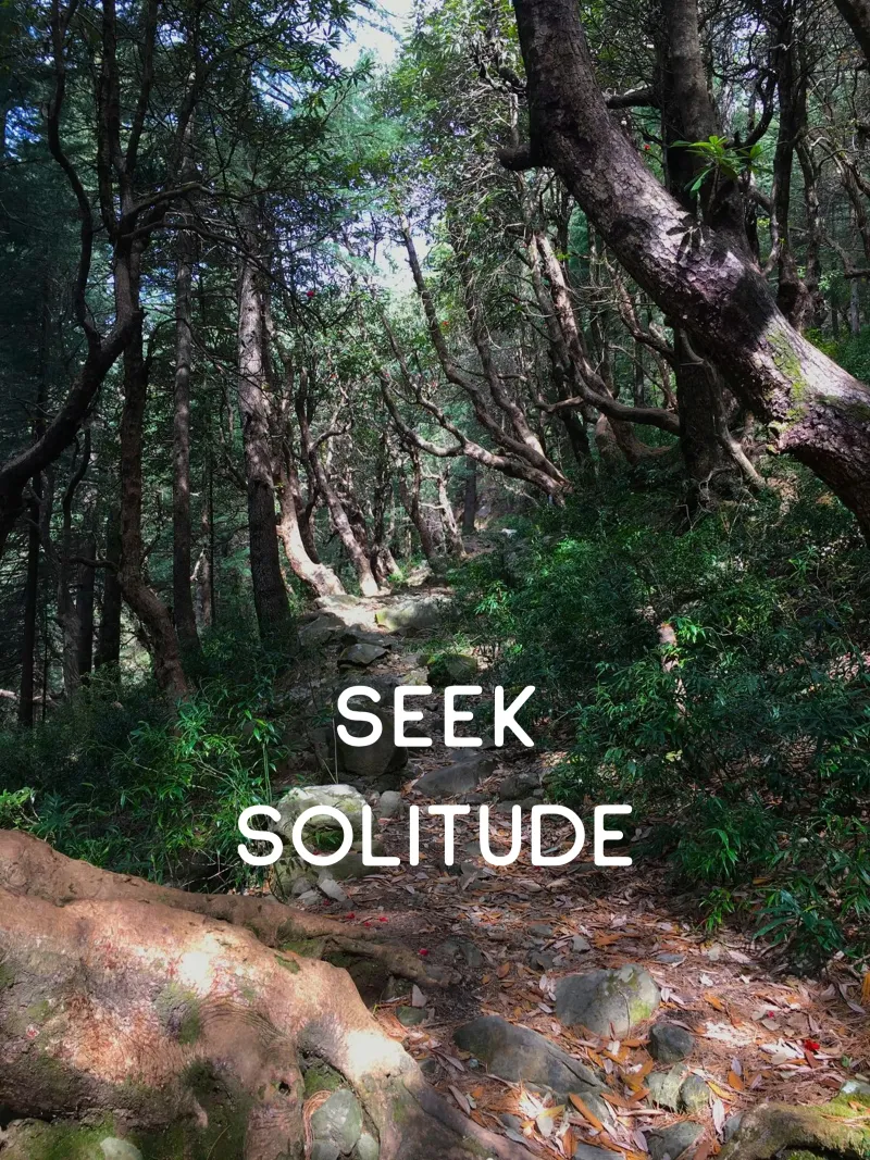 seek solitude poster with wooden frame by Happy 😃 Art 🎨 by Christine Schnoell