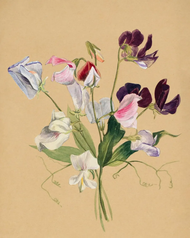Flower Study poster con telaio in legno da Second Canvas