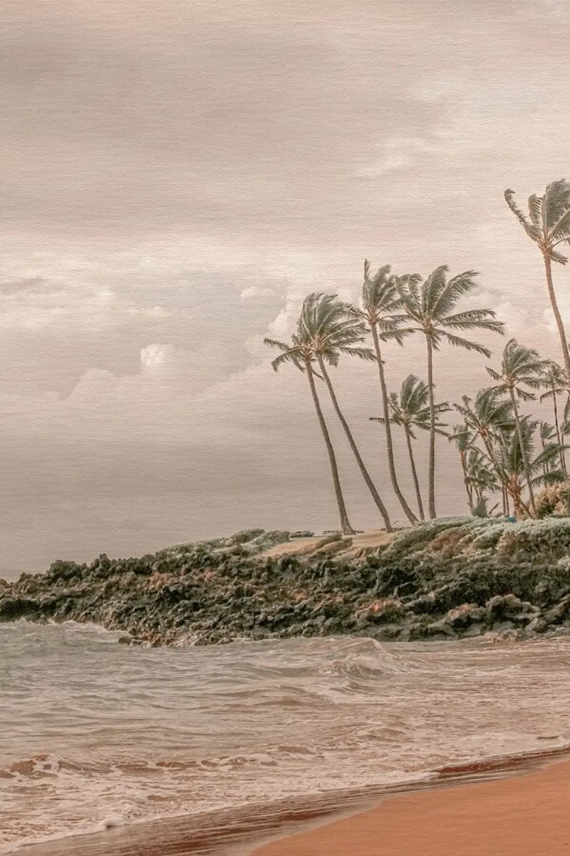 Aloha Hawaii 2 hahnemühle by Monika Strigel