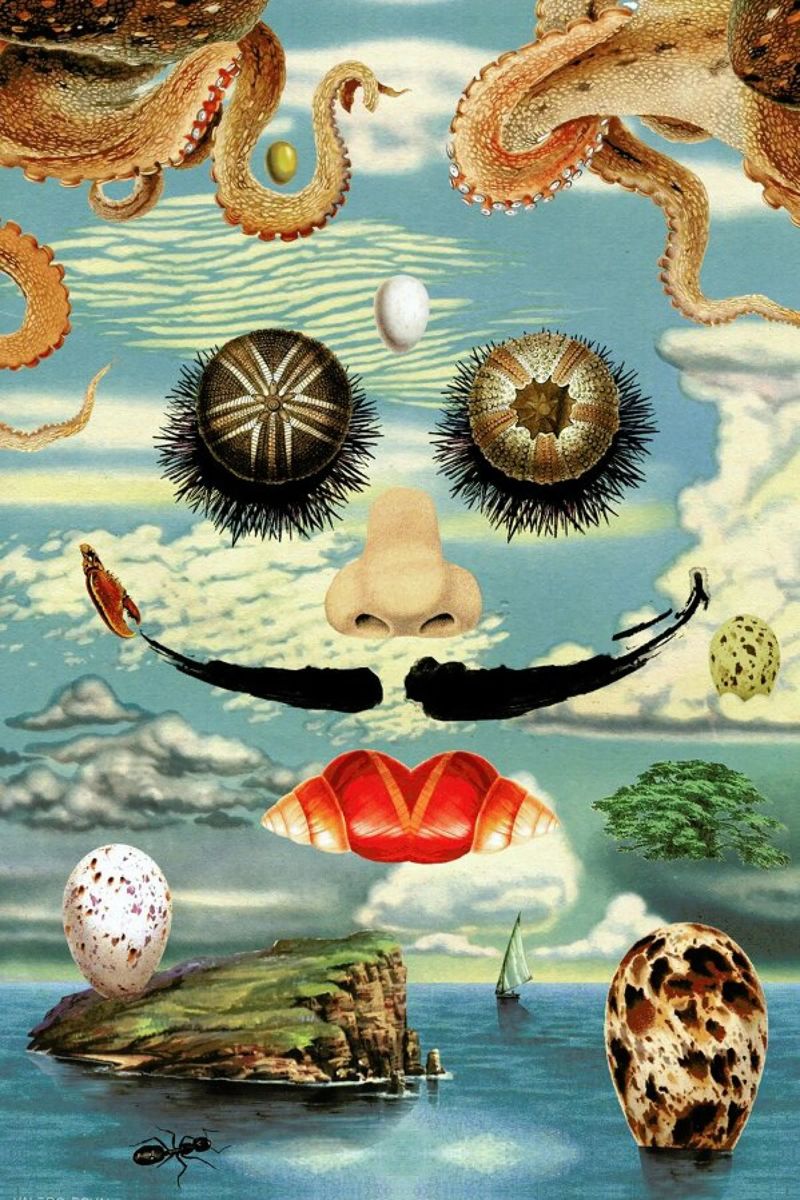 Dali & The Sea Urchins Leinwand von Kolorama