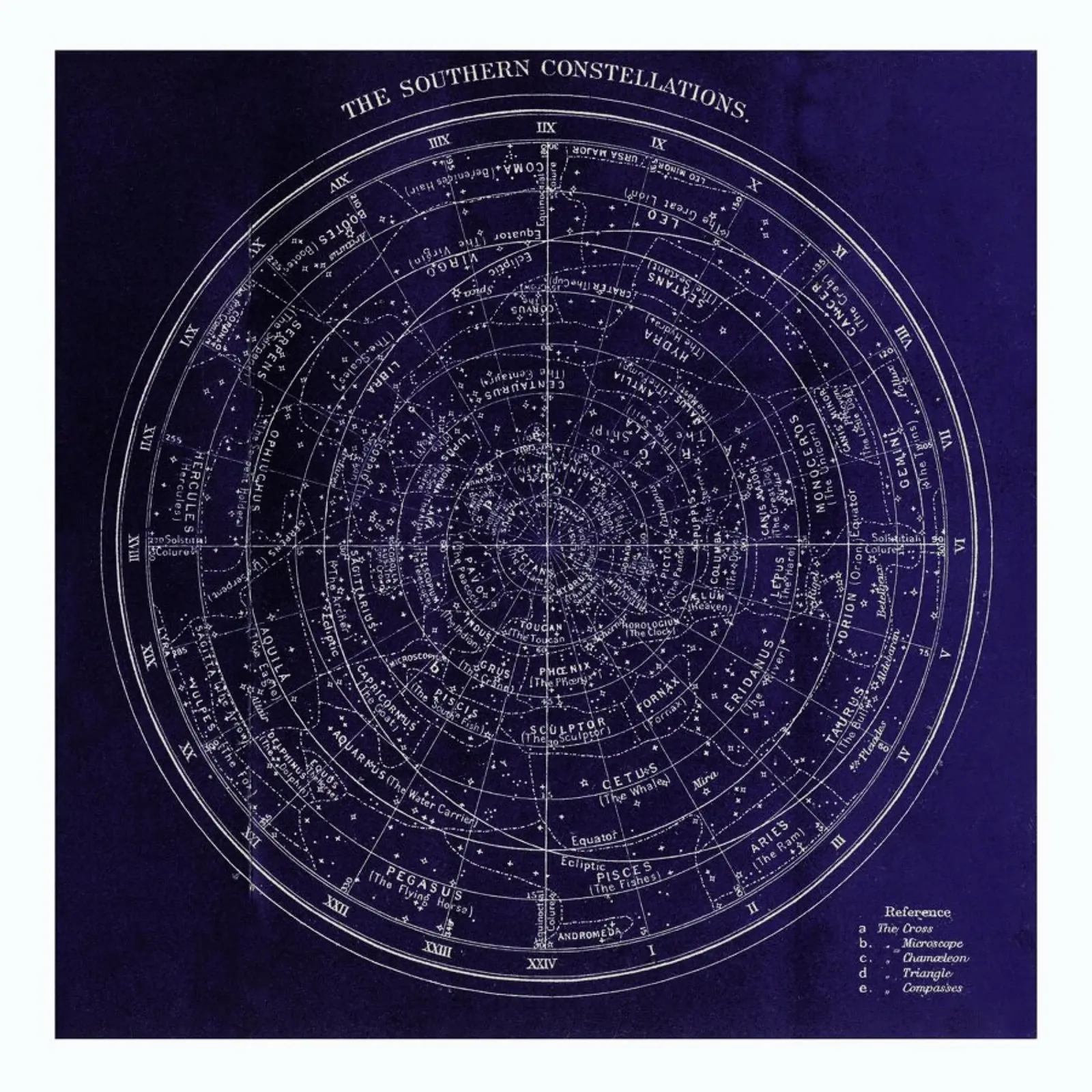 Southern Constellations pellicola backlit da Flora & Fauna
