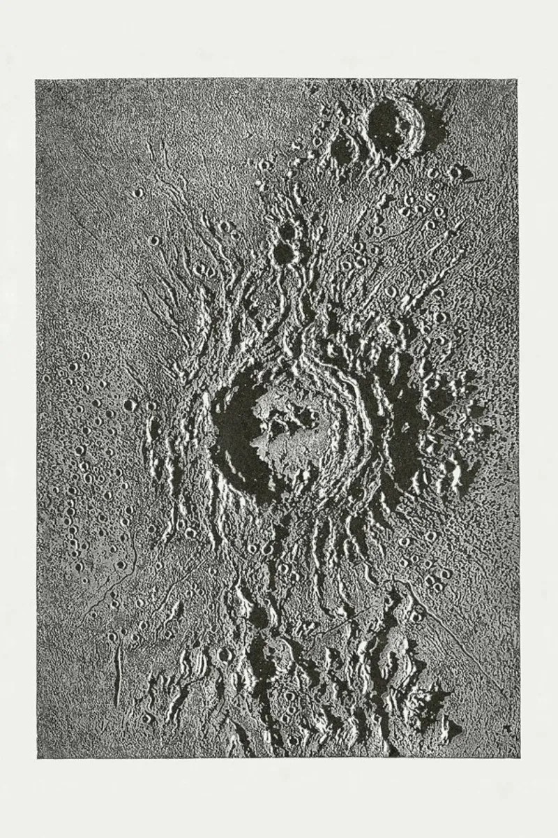 Moon Crater pellicola backlit da Flora & Fauna