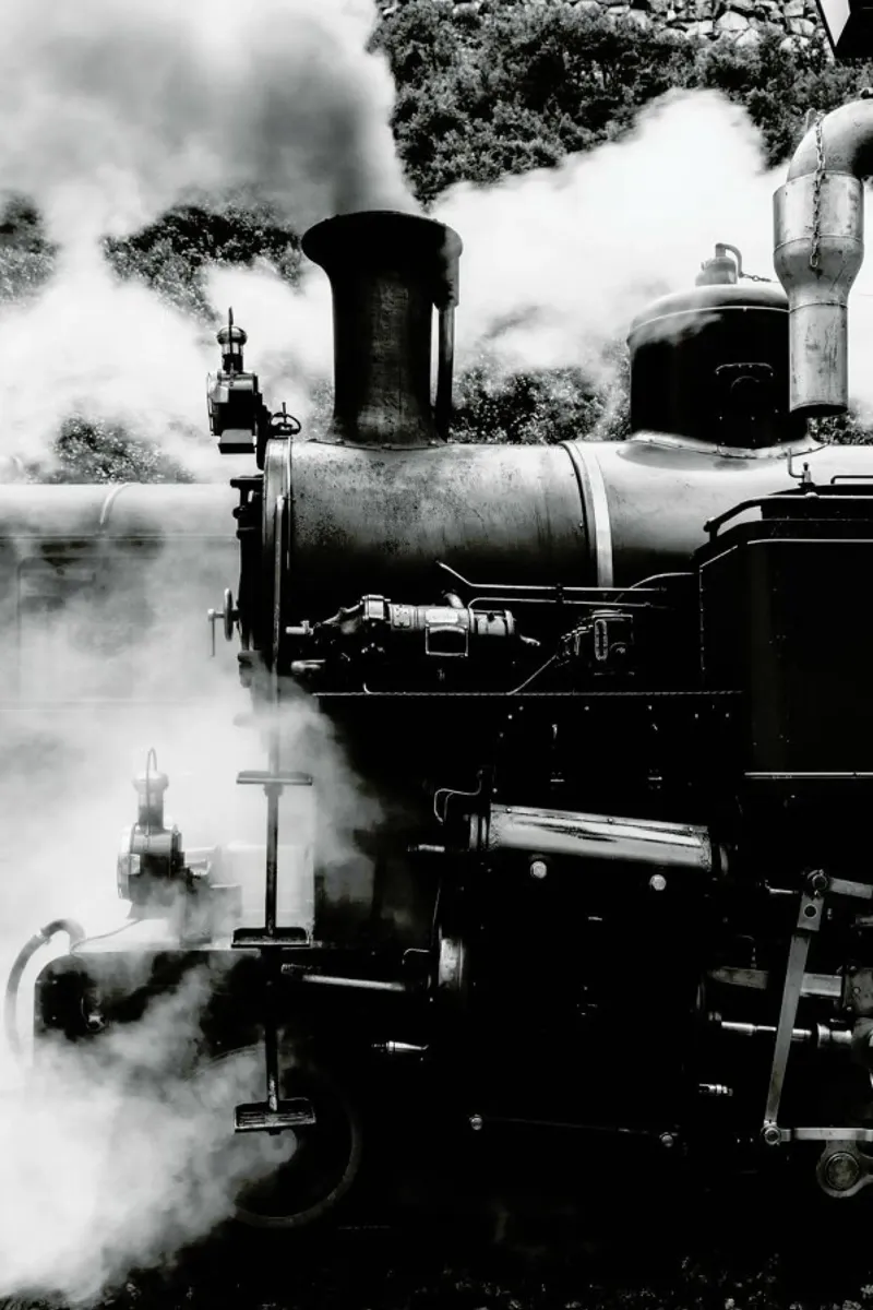 Steam Train poster con telaio in legno da METROPOLIS