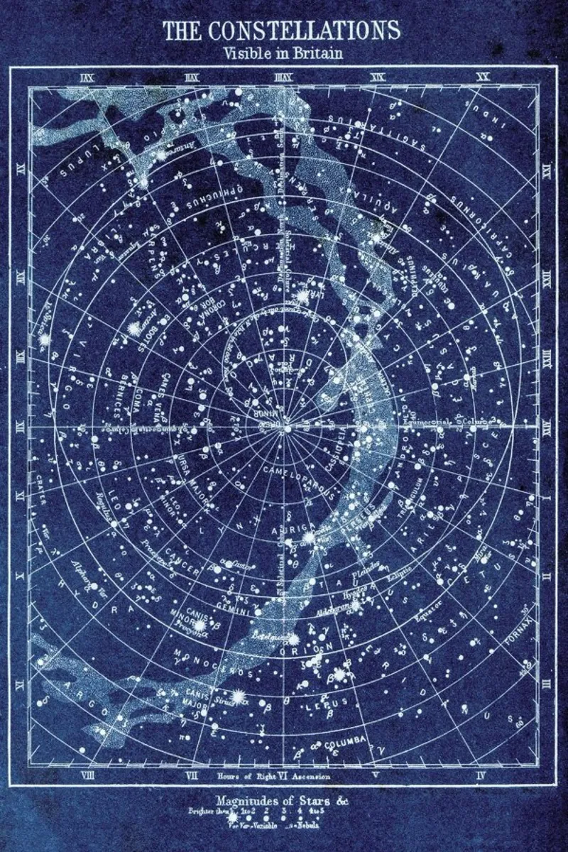 Constellations pellicola backlit da Flora & Fauna