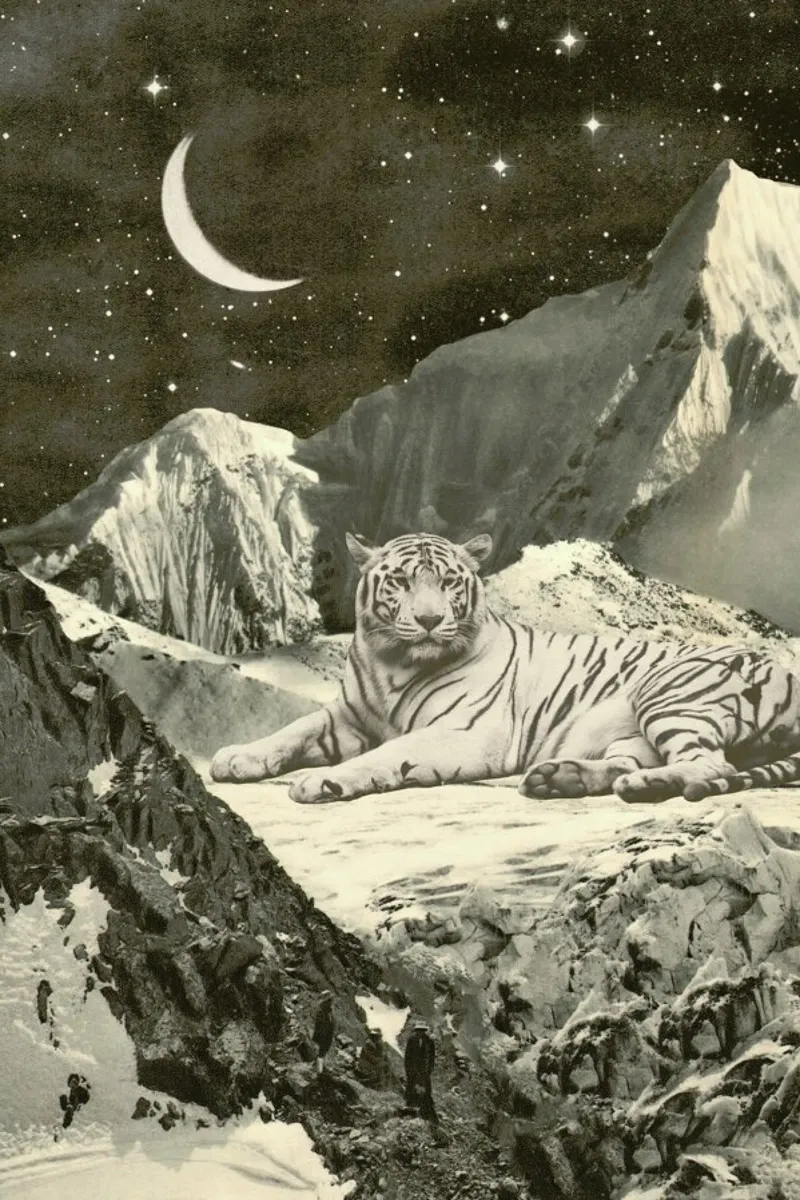 White Tiger hahnemühle by Florent Bodart
