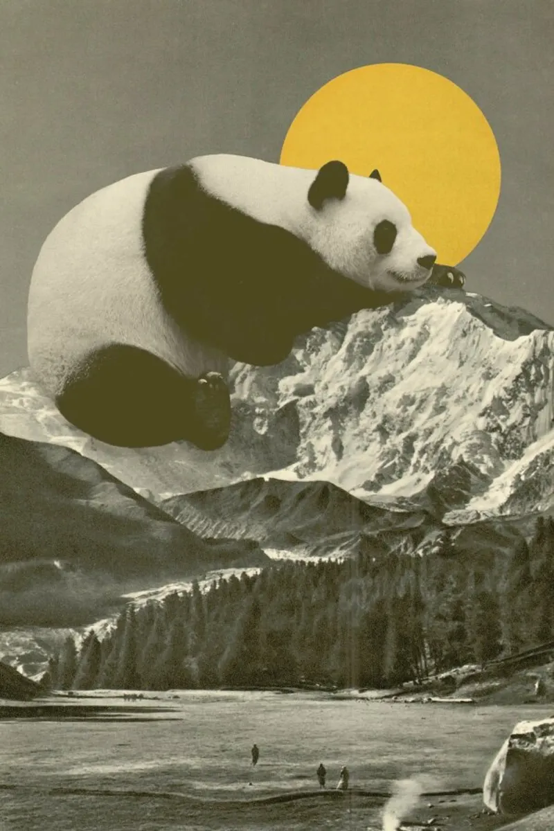 Panda Nap pellicola backlit da Florent Bodart