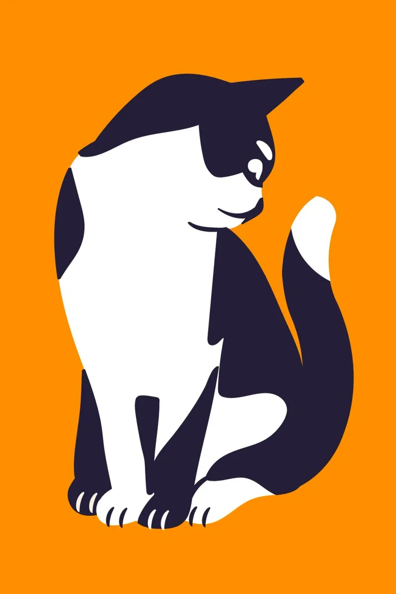 tuxedo kitty carta hahnemühle da Mariery Young