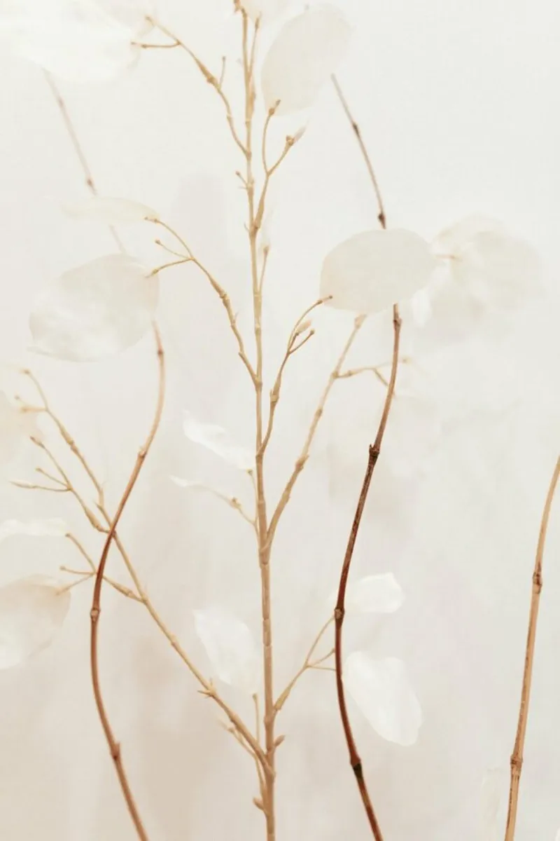 Abstract — Flowers pellicola backlit da Sebastian Hilgetag