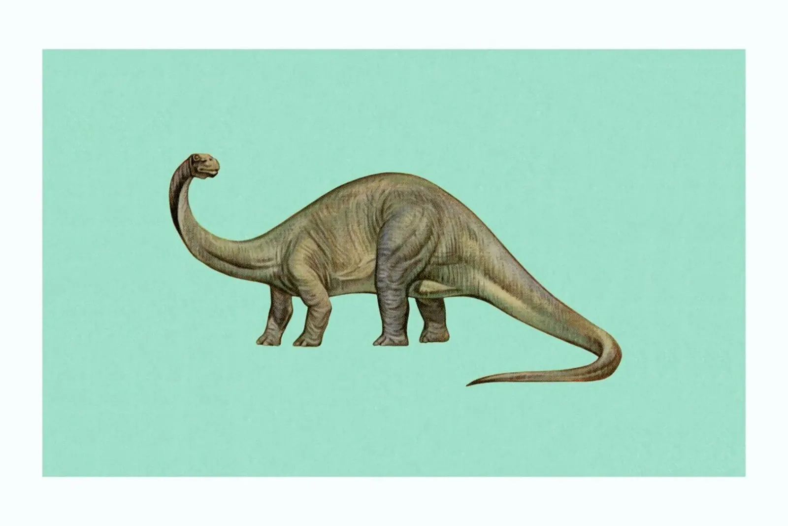 Diplodocus pellicola backlit da Flora & Fauna