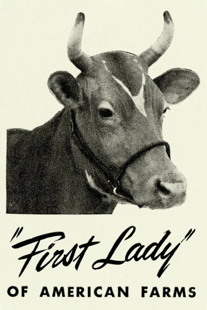 First Lady poster con telaio in alluminio da Flora & Fauna
