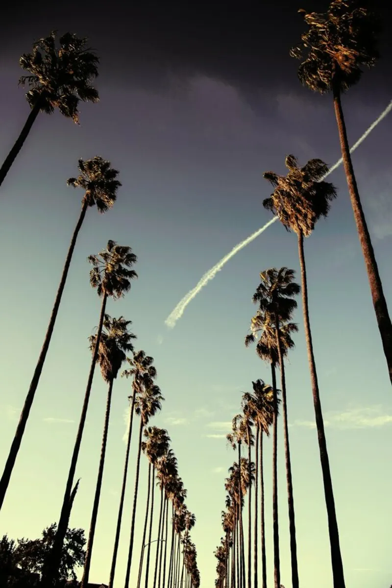 On Sunset canvas by METROPOLIS